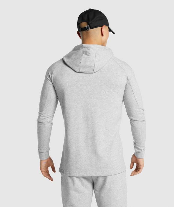 Panske Mikiny S Kapucňou Gymshark Critical 2.0 Svetlo Siva | SI2501743